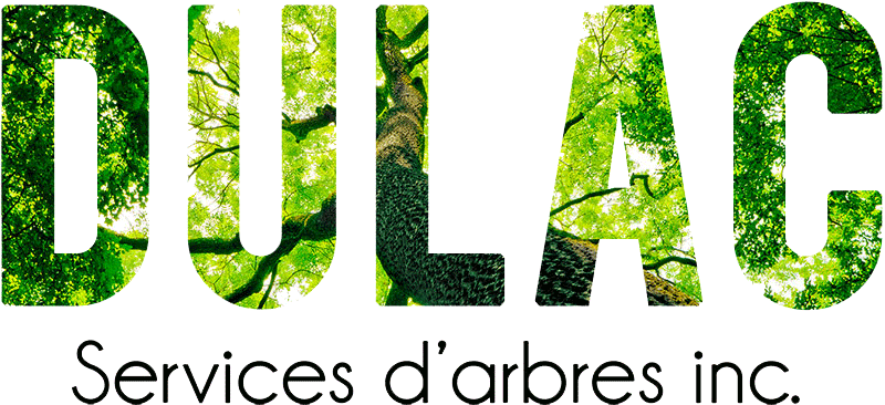 Dulac Services d’arbres Inc.